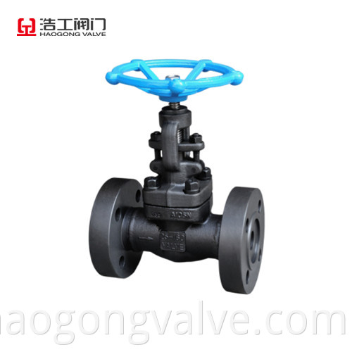 A105 Globe Valve Pn160 Dn25 Jpg